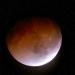 Eclipse lunaire du 04 mai 2004 : ambiance 