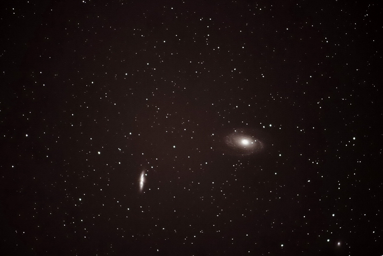 M81