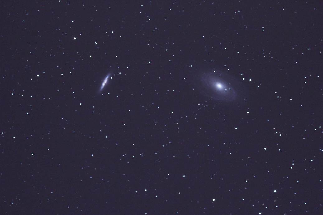 M81