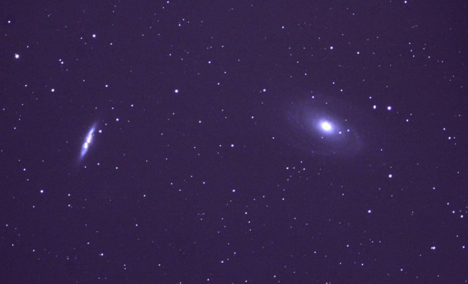 M81